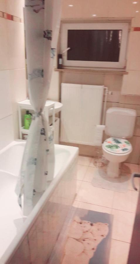 Belle Chambre Dans Un Quartier Calme Brüksel Dış mekan fotoğraf